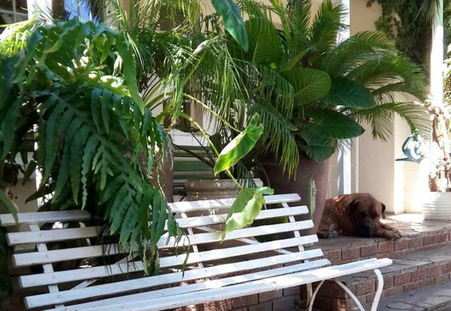 Mavilla Stellenbosch B&B Экстерьер фото
